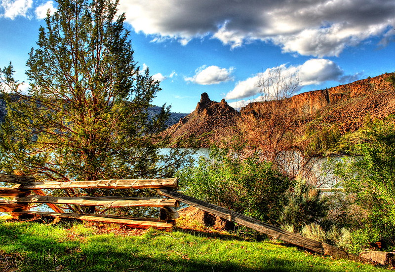 A bright colorful picture of Cove Palisades State Park. There's water seen behind some trees. An orange canyon wall rises in the distance.