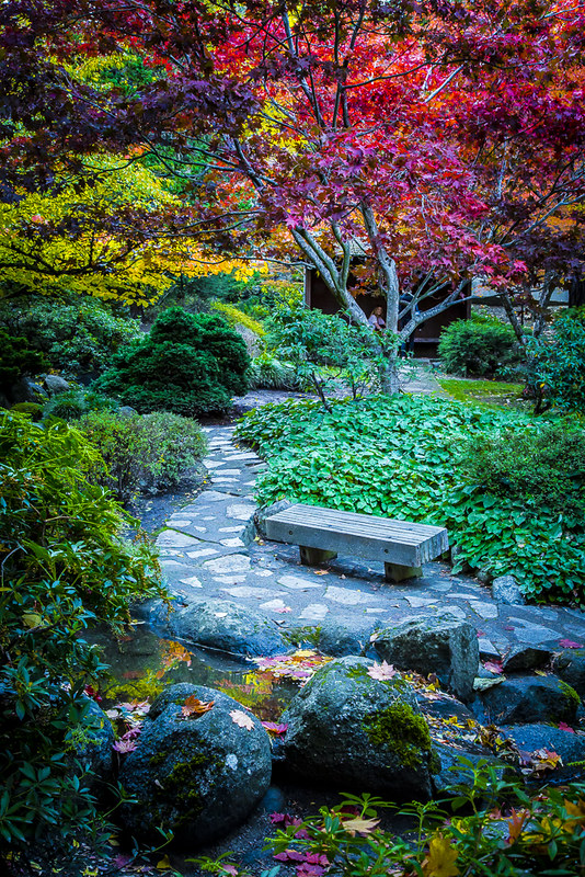 A twisty path through green foliage with a park bench at the Japanese Garden in Lithia Park.  There's a bright red tree in the background.