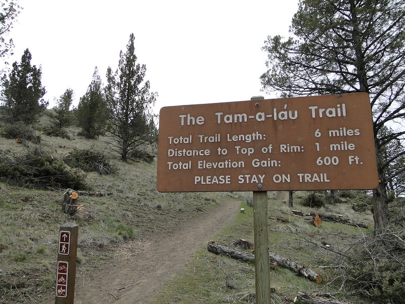 The brown sign to the Tam-a-lau trail.