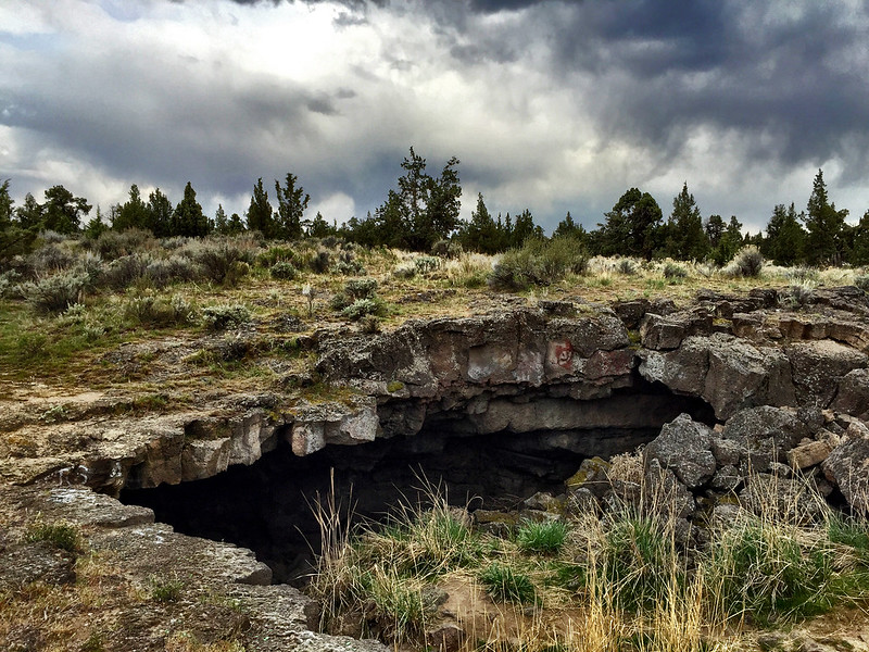 A cave entrance to one of the Redmond Caves. The surface is covered in tall yellow grass and sage brush. It's a cloudy day and there are pine trees in the background.