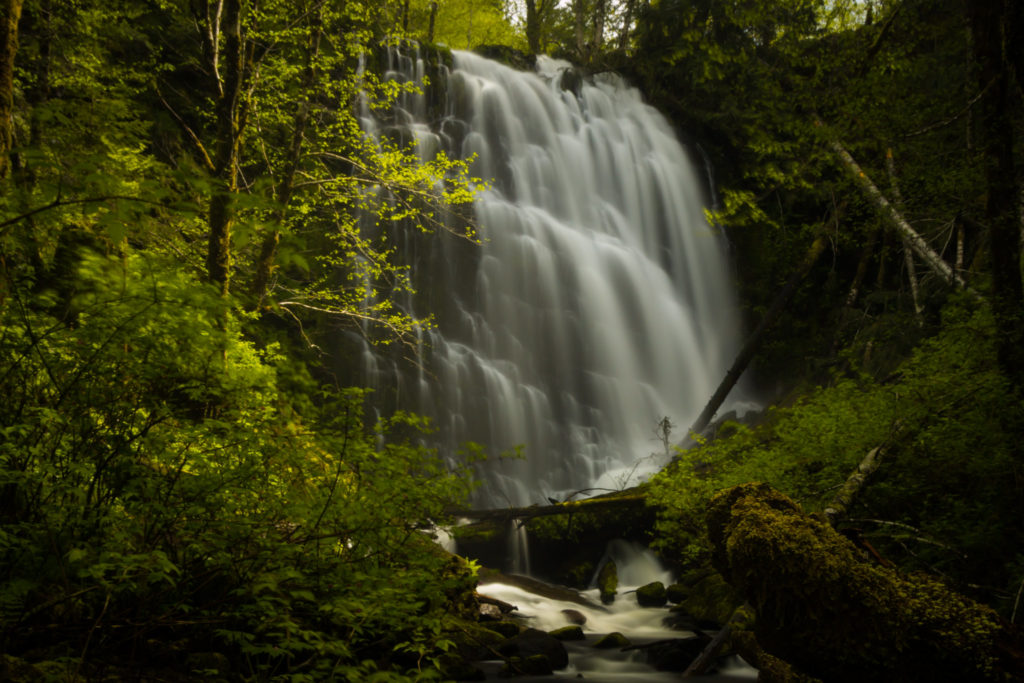 oregon waterfalls to hike university falls