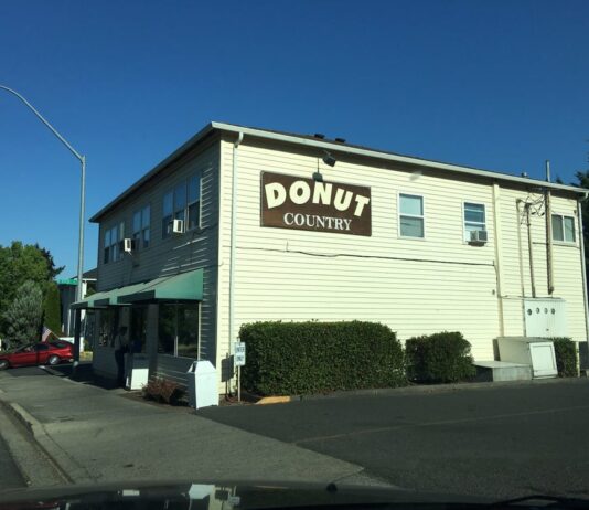 Donut Country building