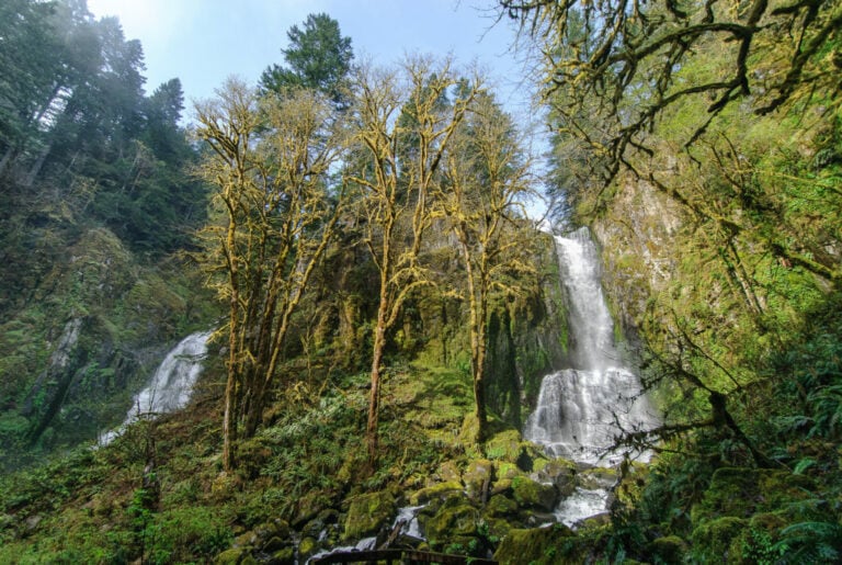Kentucky Falls in the Oregon Coast Range