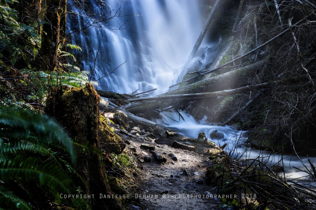 Hikes On Oregon Coast