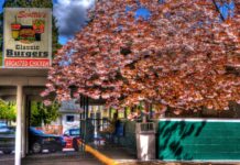 scotties drive in, forest grove, oregon