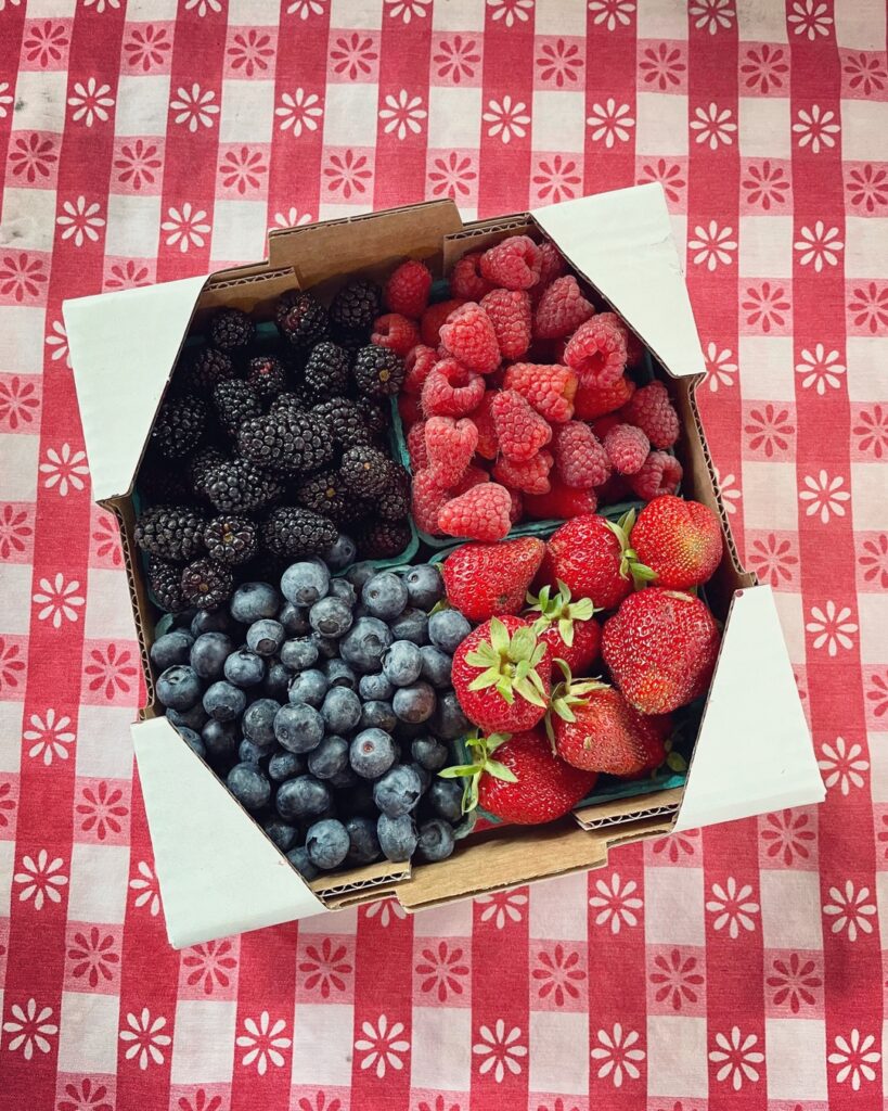 A box full of strawberries, blueberries, raspberries and blackberries all in their own green containers.