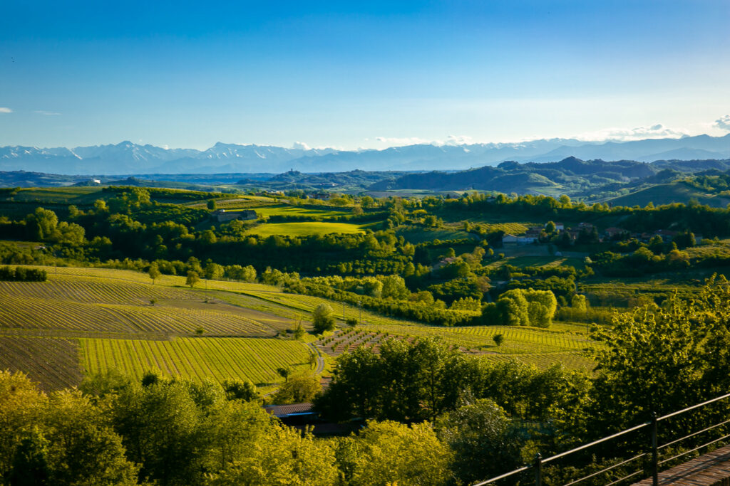 A panoramic view of the surrounding hills, trees, vineyards, and mountains from Dancin Vineyards. It's really pretty.