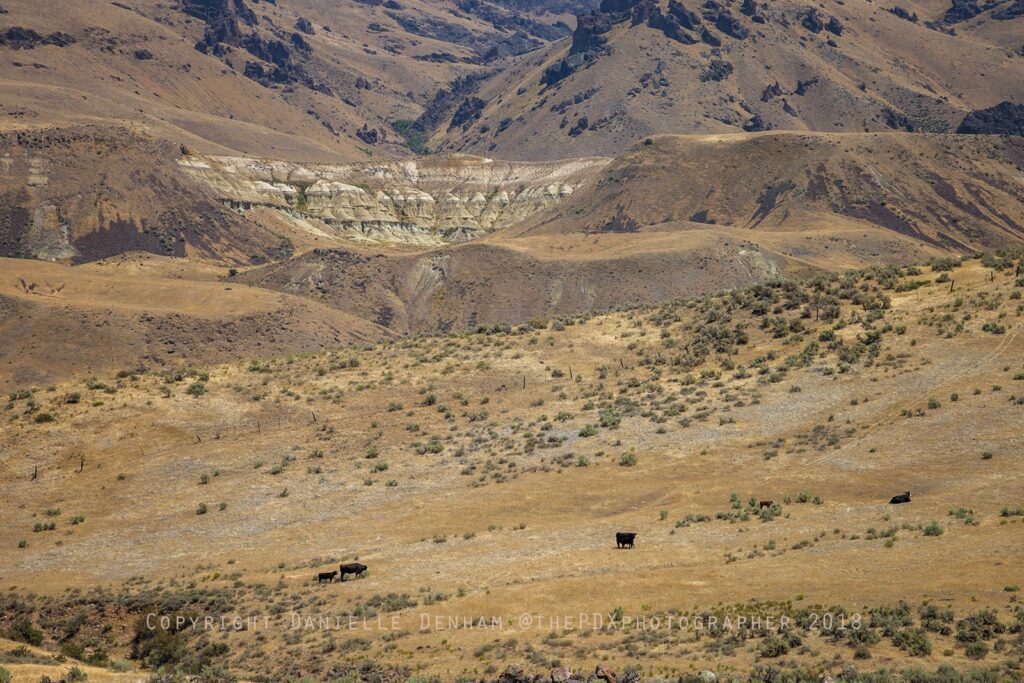 malheur county, oregon history, barren landscape, meek cutoff, wagon train