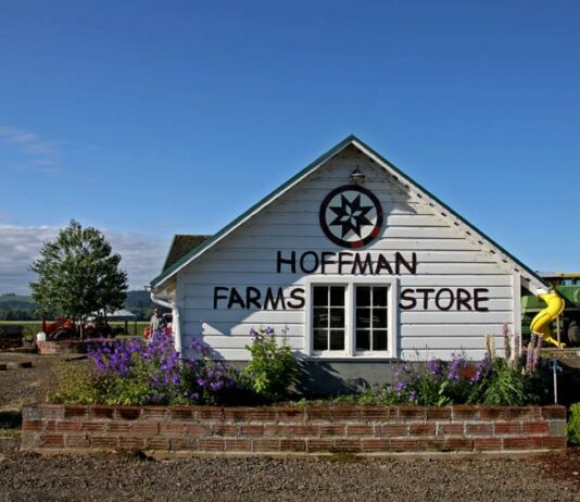 The outside of Hoffman Farms Store. It's a white wood building. There are purple plants outside.