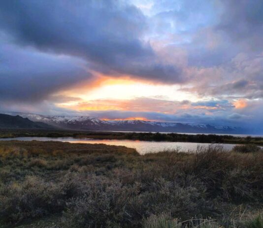 Sunset over Summer Lake Hot Springs. It's a cloudy evening and orange light reflects in the clouds and in a body of still water surrounded by dry grasses and sage brush in the desert. There are low flat mountains in the background.
