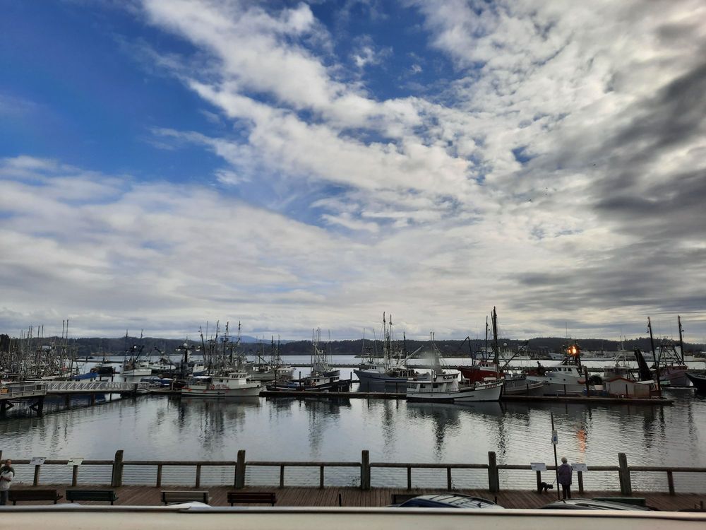 The view of the docks and boats from inside the restaurant.