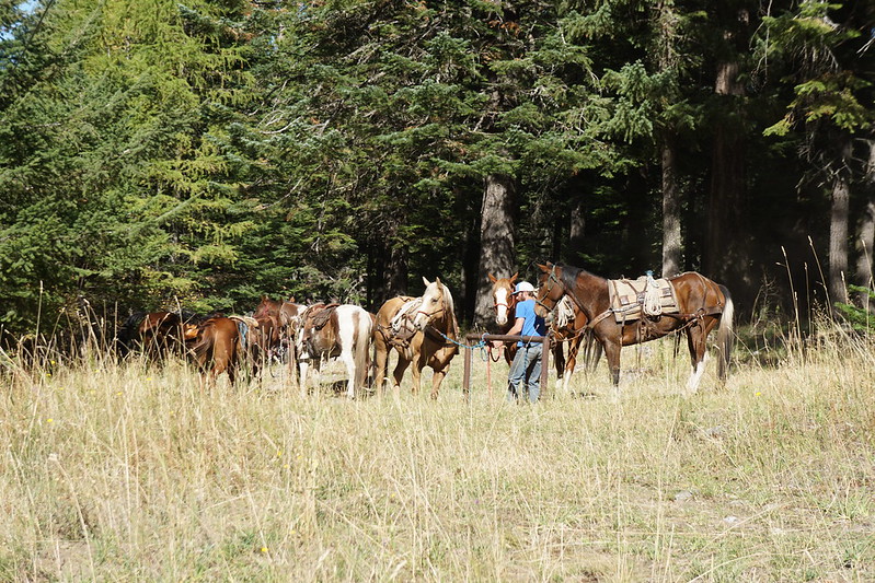 joseph, oregon, rancher