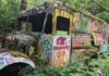 An old colorful rusted out truck surrounded by greenery and trees.