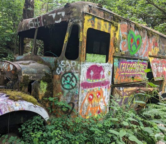 An old colorful rusted out truck surrounded by greenery and trees.
