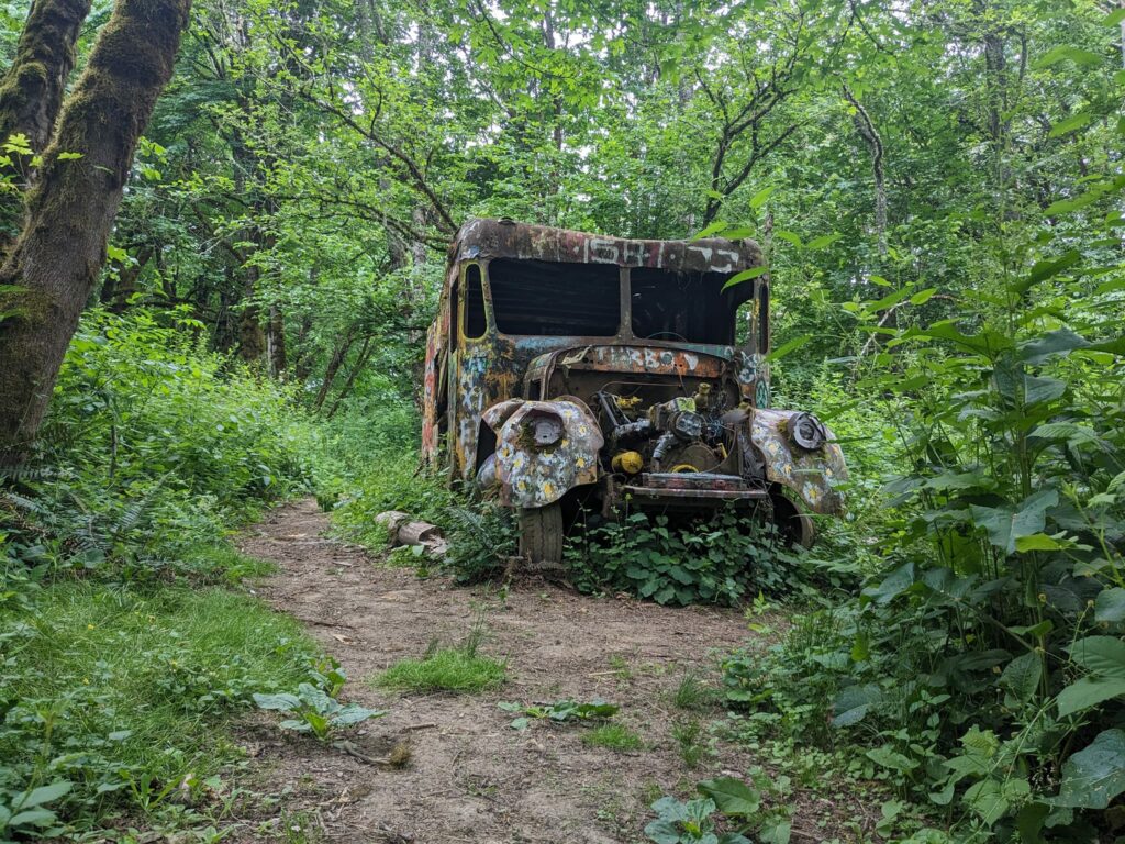 An old colorful rusted out truck surrounded by greenery and trees.