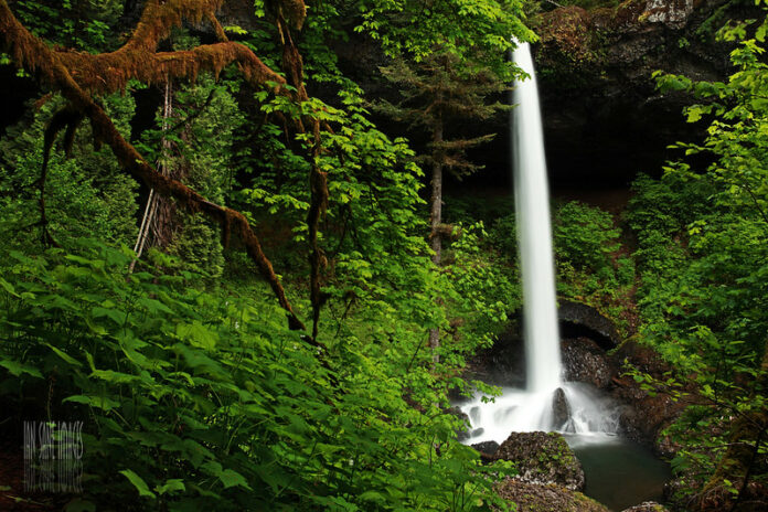 Experience a Beautiful New Trailhead at Silver Falls State Park