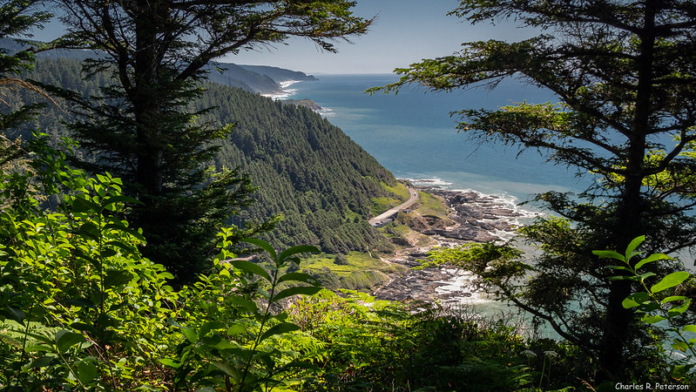 Cape Perpetua