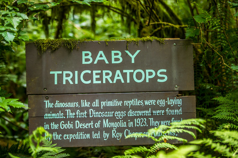 A sign about baby Triceratops at the Prehistoric Gardens.