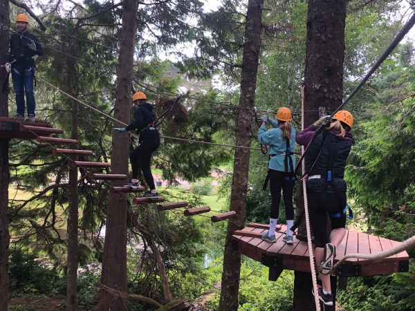 People standing on a wooden platform in the trees and crossing a wooden bridge.