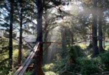 salishan aerial park
