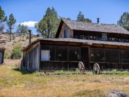 riddle brothers ranch