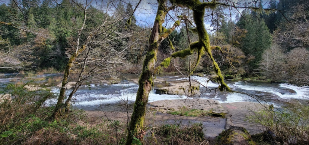 smith river falls, camping, swimming holes, oregon, reedsport