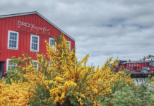 bridgewater bistro, astoria, oregon