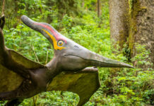 A sculpture of a flying dinosaur in the forest.