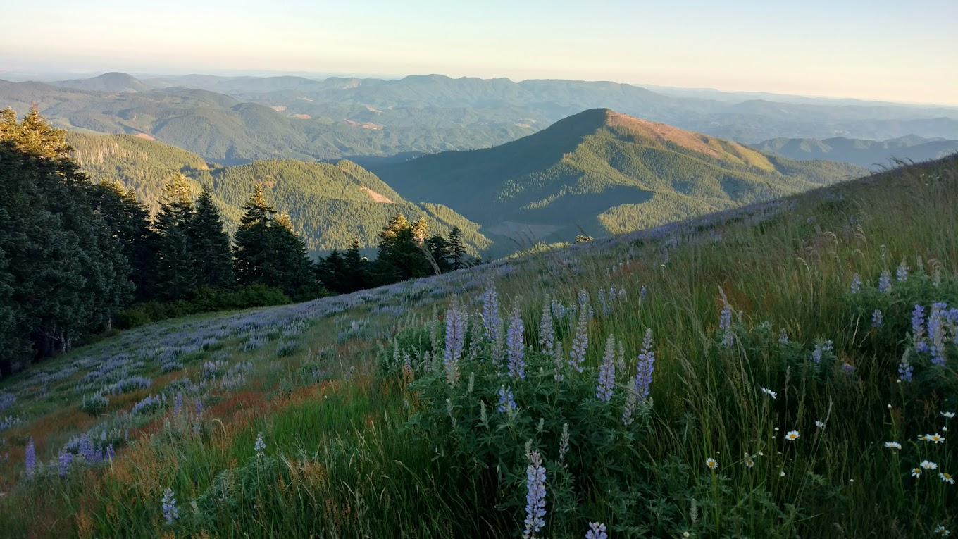 Mary's Peak