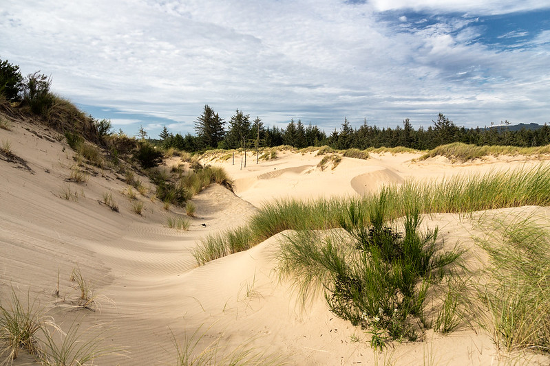 Oregon Dunes