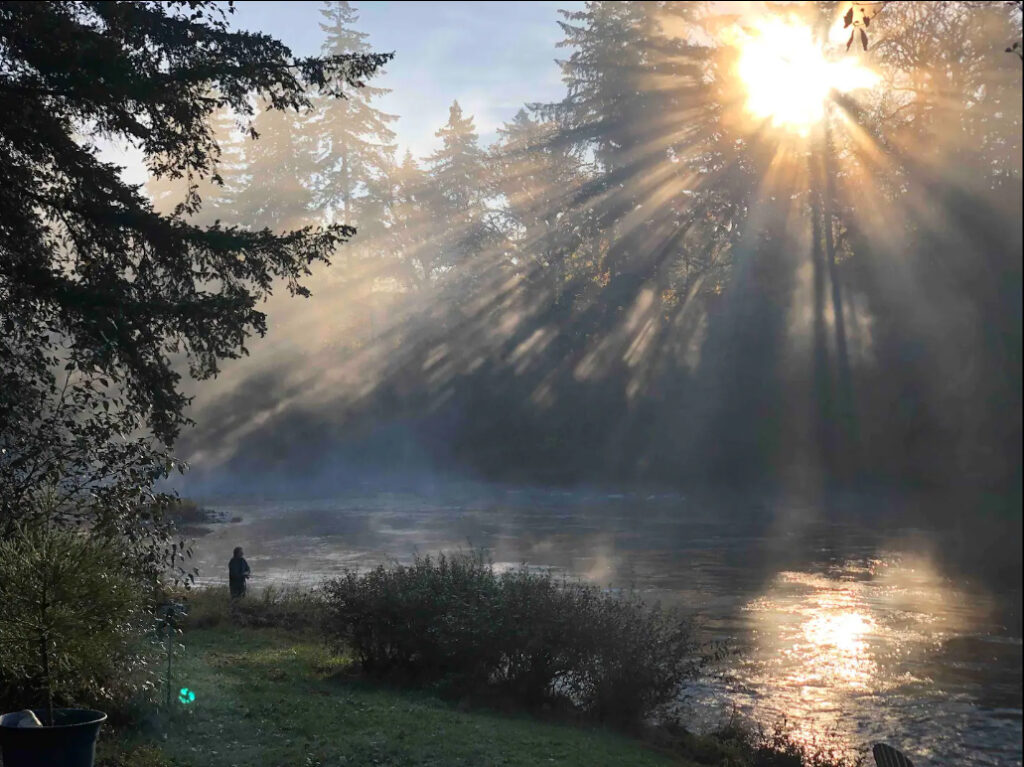 Sunlight comes down through the trees and fog over the river. A person stands near the river's edge.