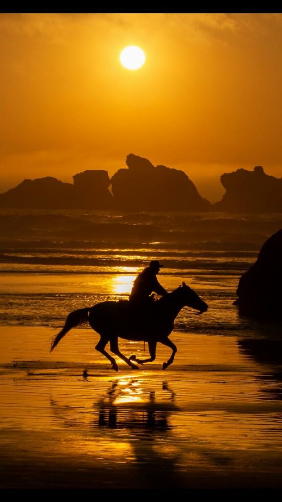 A person rides a galloping horse in Bandon Oregon on the Oregon coast at sunset.