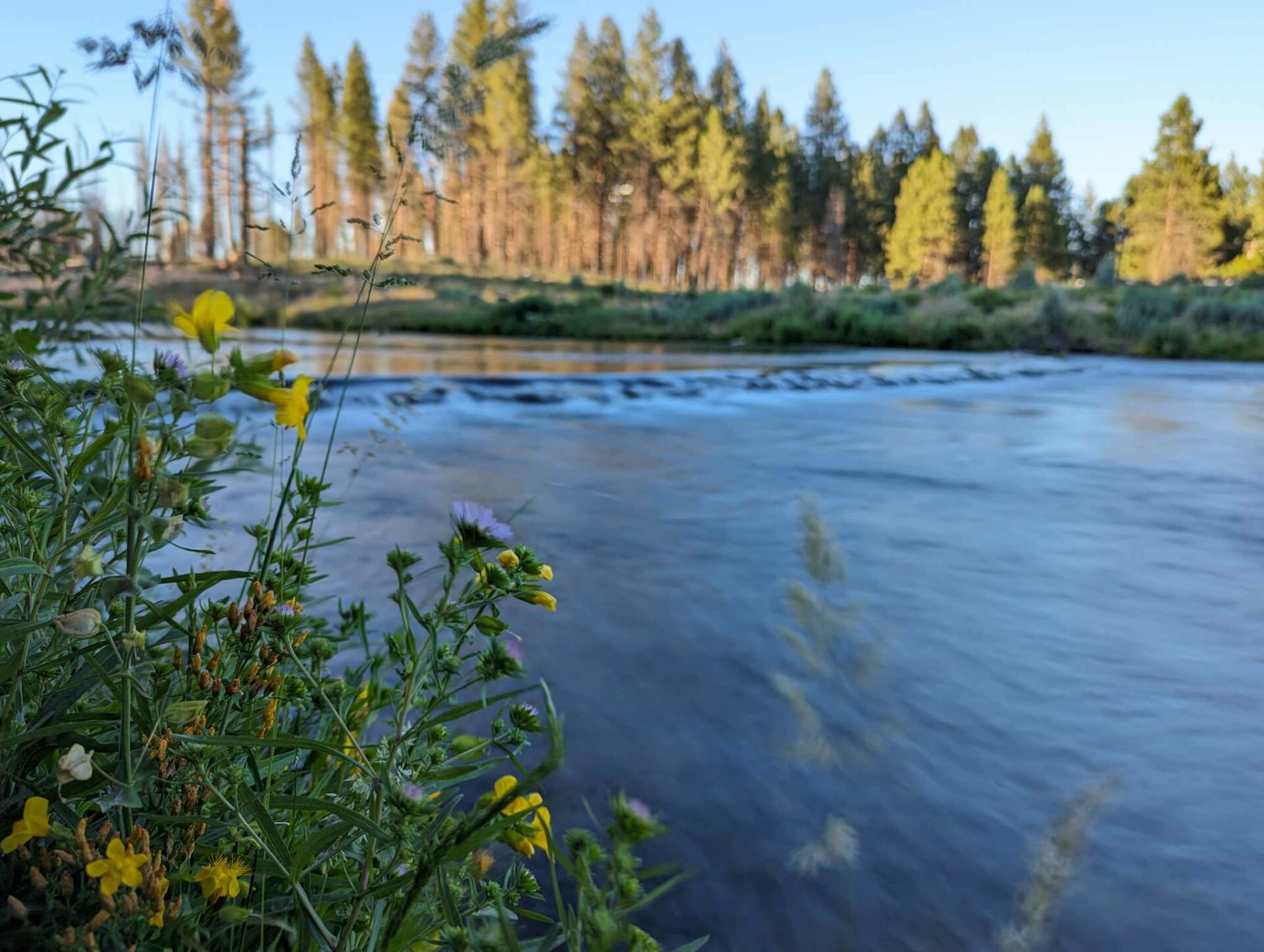 Escape to Oregon's Hidden Gem: Collier Memorial State Park