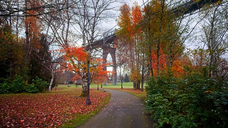 fall colors oregon, autumn foliage, where to go, things to do, full guide, columbia river gorge, wine country, portland hikes, coast range, central oregon, southern oregon, steens mountain, elkhorn scenic byway, sumpter valley railroad, drake park, ashland, deschutes river, waterfalls, rogue river, umpqua national forest, covered bridges