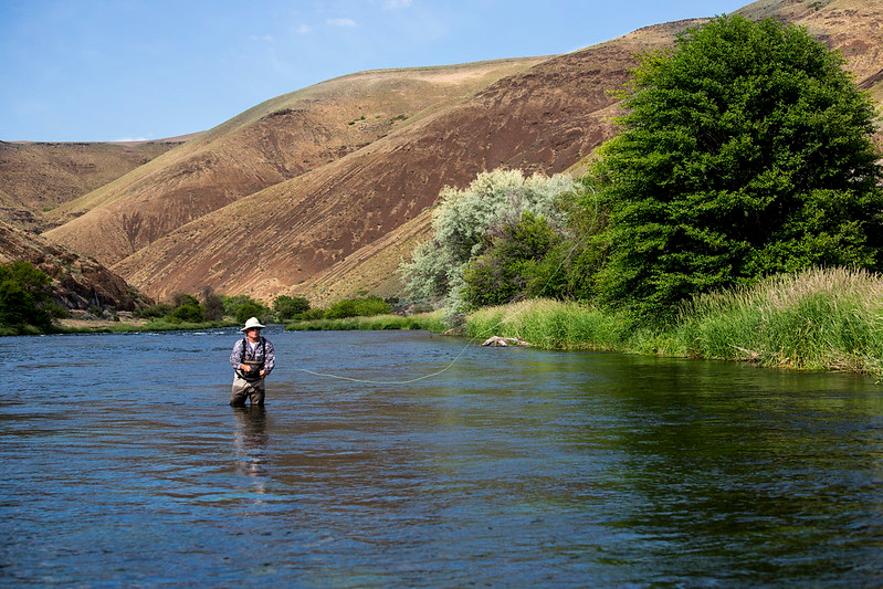 Fly Fishing