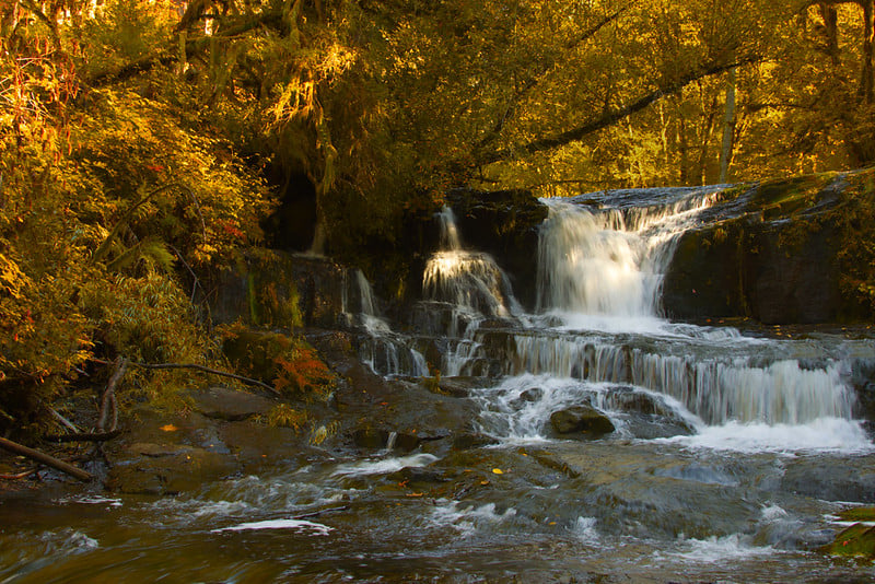 fall colors oregon, autumn foliage, where to go, things to do, full guide, columbia river gorge, wine country, portland hikes, coast range, central oregon, southern oregon, steens mountain, elkhorn scenic byway, sumpter valley railroad, drake park, ashland, deschutes river, waterfalls, rogue river, umpqua national forest, covered bridges