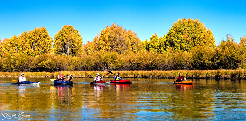 Kayaking on the river