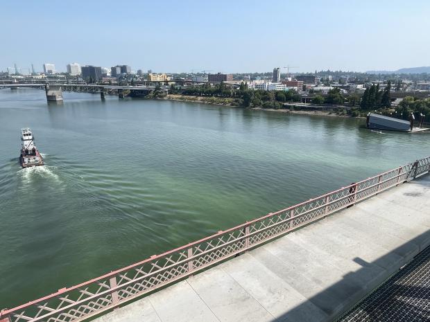 Algae bloom near Hawthorne Bridge