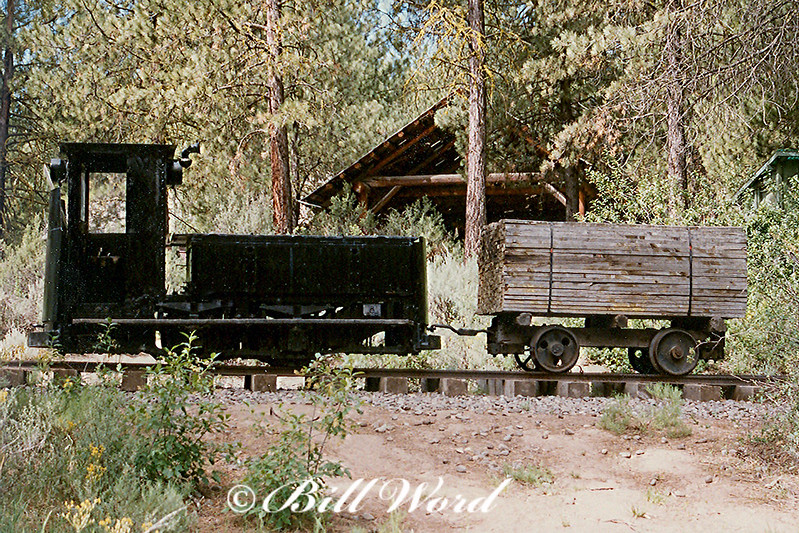 A small black train hooked up to a train car with lumber at Collier Logging Museum.