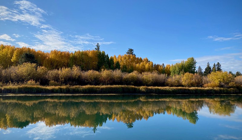 Autumn near Dillon Falls.  Some of the trees are turning yellow.  It's a wide open area with lots of blue sky.