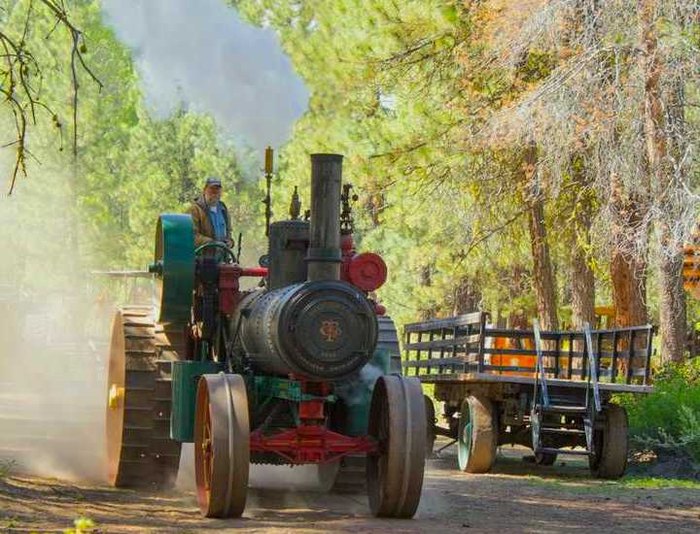 A man rides a large tractor at Collier Logging Museum.