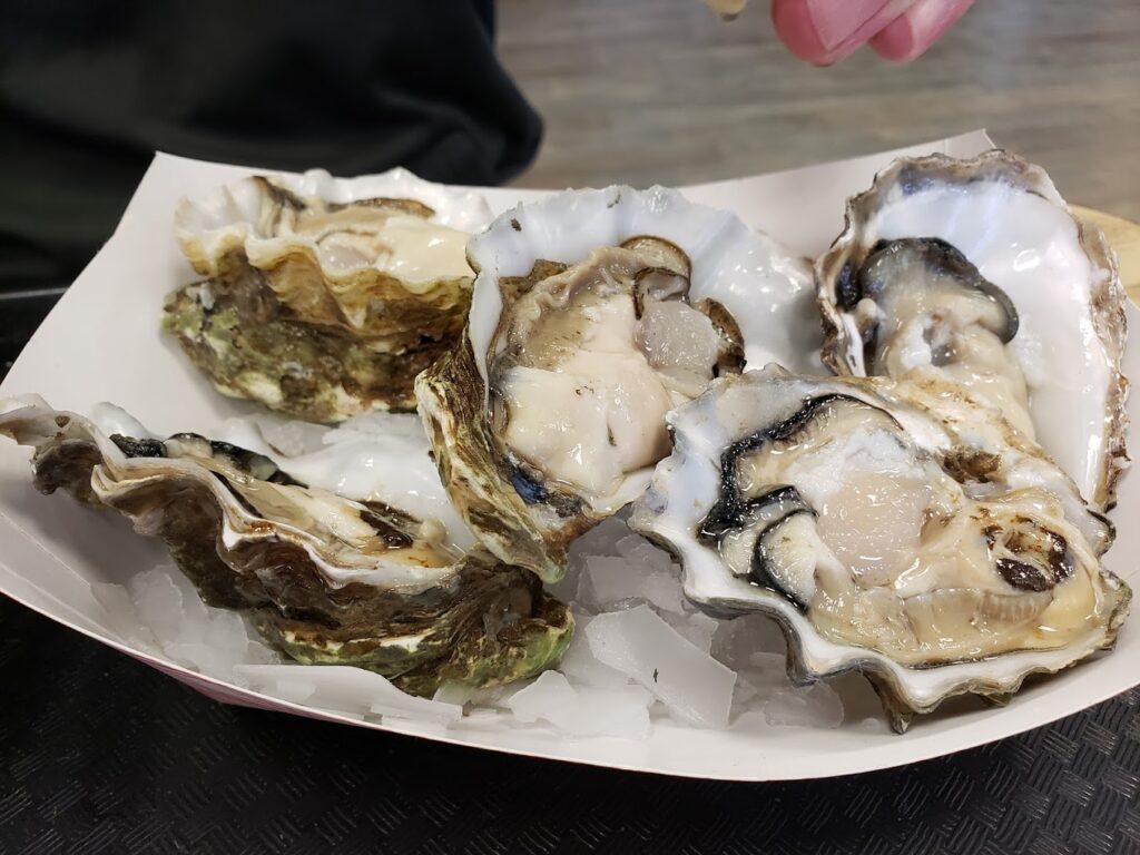 fresh oysters