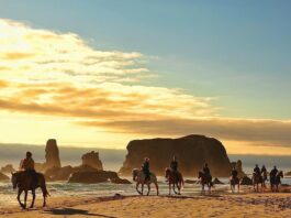 A group of people riding horses down the coast in Bandon Oregon in front of seastacks.