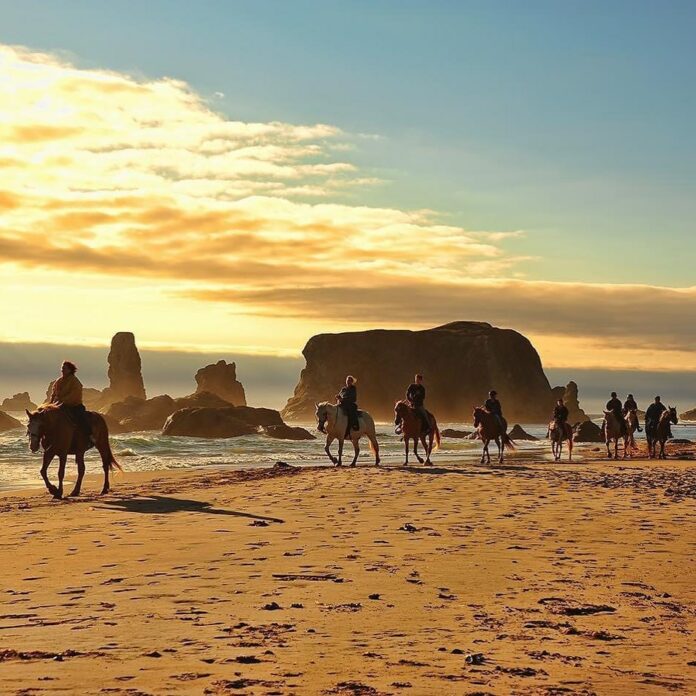 A group of people riding horses down the coast in Bandon Oregon in front of seastacks.