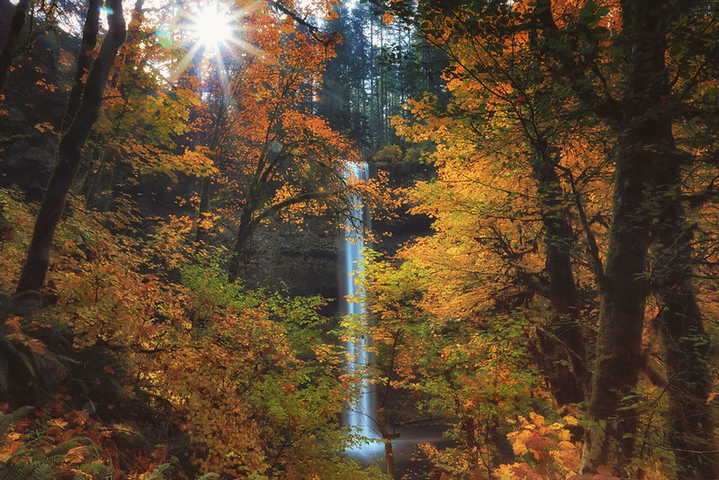 fall colors oregon