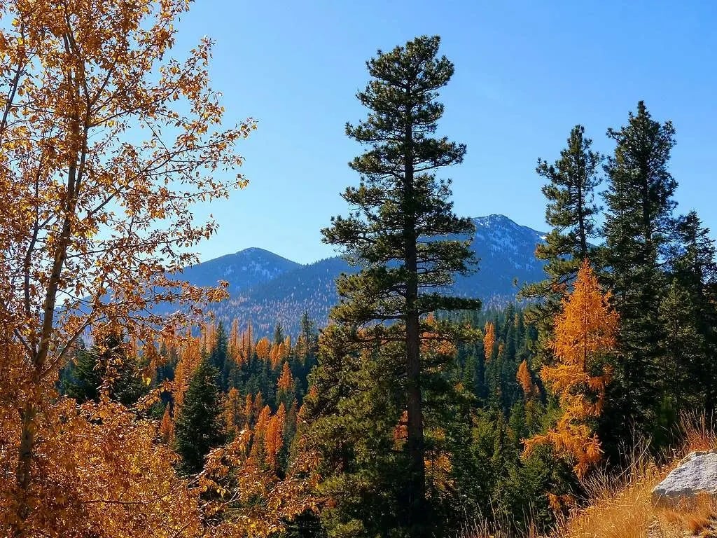 fall colors oregon, autumn foliage, where to go, things to do, full guide, columbia river gorge, wine country, portland hikes, coast range, central oregon, southern oregon, steens mountain, elkhorn scenic byway, sumpter valley railroad, drake park, ashland, deschutes river, waterfalls, rogue river, umpqua national forest, covered bridges