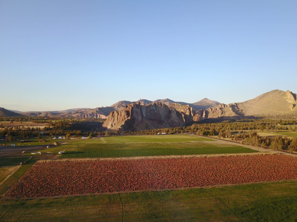 An aerial view of a massive pumpkin patch at Smith Rock Ranch with jagged brown mountains in the background.