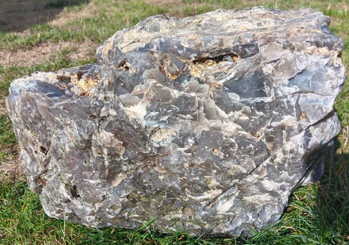 60lbs agate oregon coast