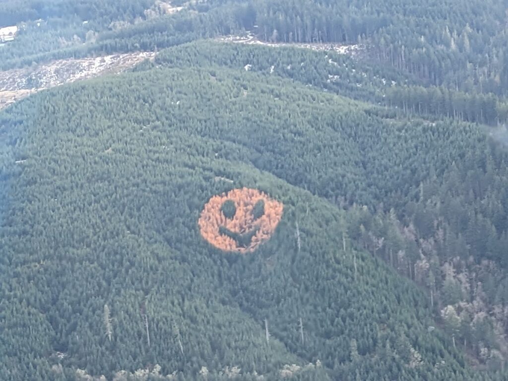 air shot of smiley face