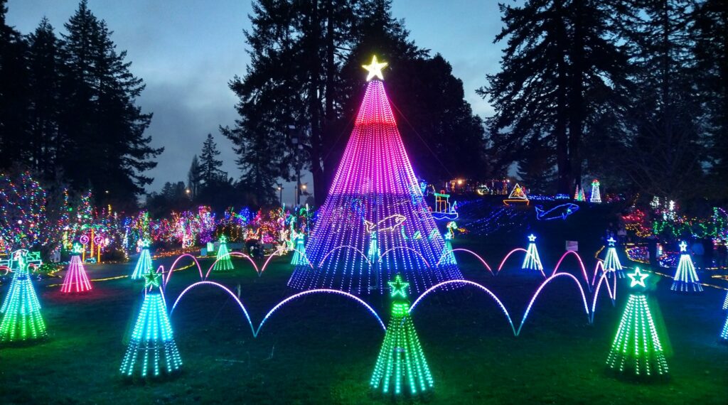 A Christmas Tree made up of Christmas lights.